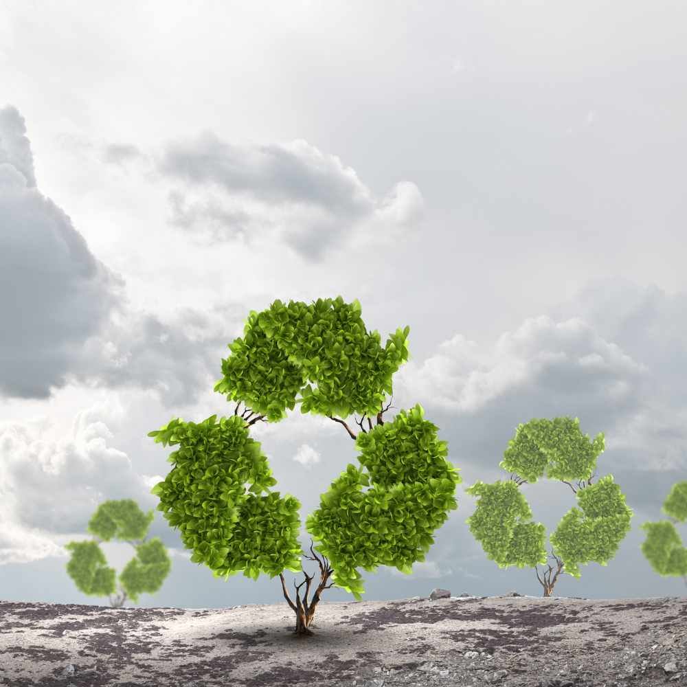 Equivalent Emissions Reduced